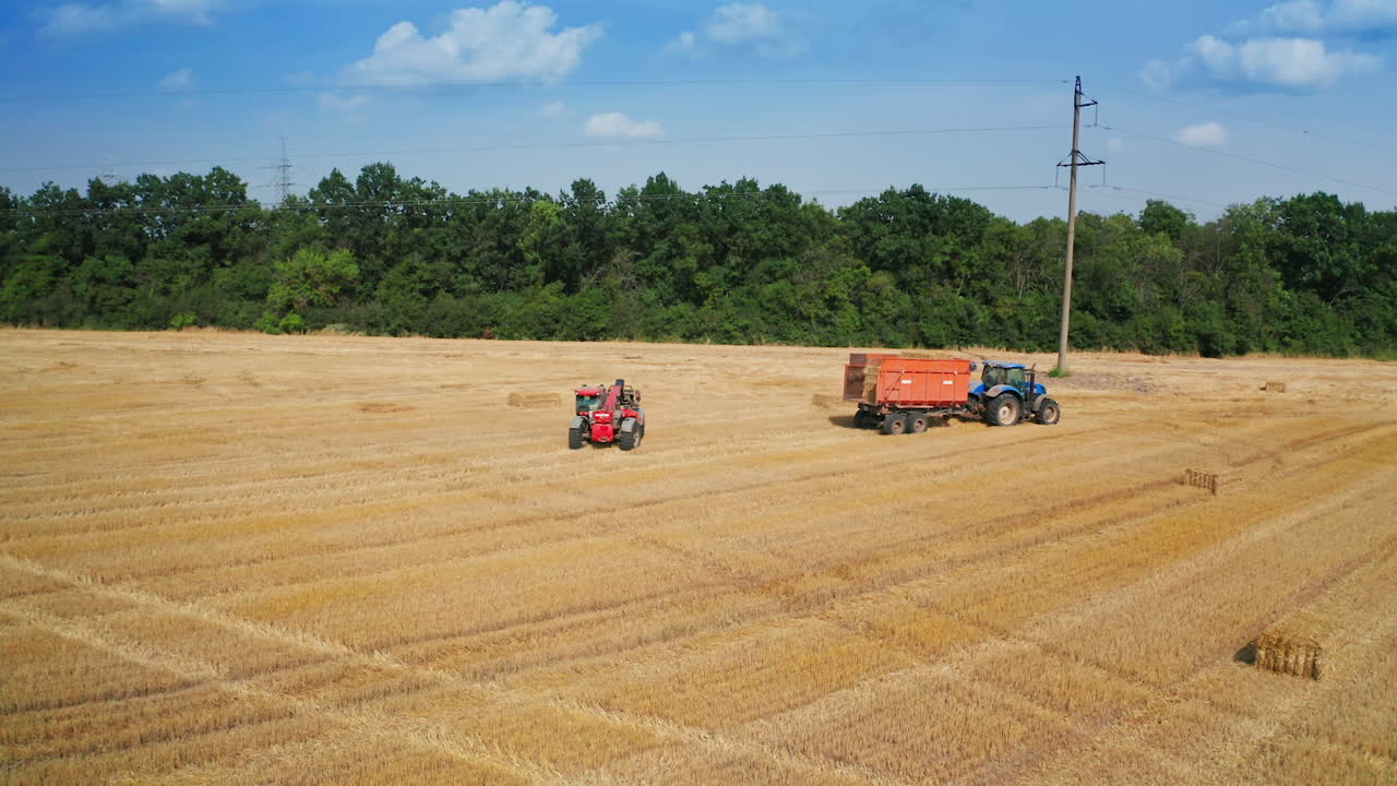 Agricultural machinery gathering bales of straw in the field. Loaded tractor goes by the plantation and excavator follows it.