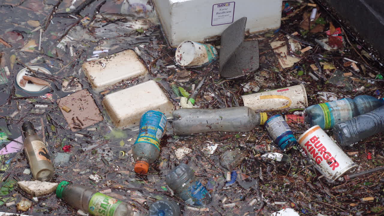 Medium shot of trash floating in a canal of Amsterdam.