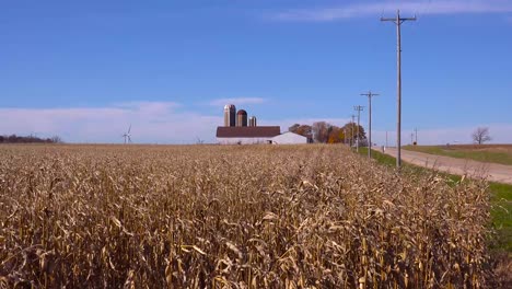 Campos-De-Maíz-Ondulado-En-La-Brisa-A-Lo-Largo-De-Una-Carretera-Rural-En-Un-Soleado-Día-De-La-Granja-De-Wisconsin