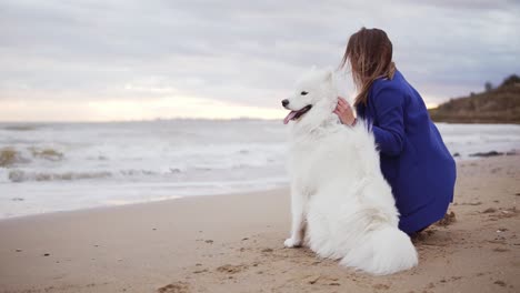 back view of a young woman sitting on the sand and embracing her dog of the samoyed breed by the sea. white fluffy pet on the