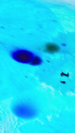 tomada de video vertical aérea de una gota de pintura o tinte azul arrojada al agua contra un fondo blanco para crear un patrón de colores giratorios 2