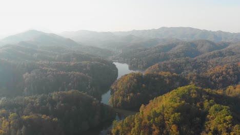 Beautiful-Forest-Landscape-in-Varazdin-County-in-Croatia---Aerial