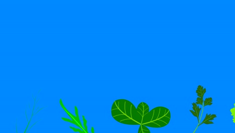 vegetables elements animation chroma key background removable, seamless loop