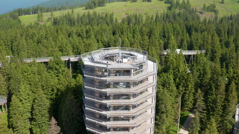 pohorje treetop walkway at the middle of lush green forest in rogla, slovenia