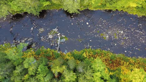 Drohnenaufnahmen,-Die-Von-Oben-Nach-Unten-Auf-Einen-Fluss-Im-Wald-Zufliegen