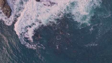 La-Jolla-Cove-Drone-Vuelo-De-Arriba-Hacia-Abajo-Desde-El-Océano-Sobre-Rocas-Hacia-El-Parque-Con-Olas-Rompiendo-Iluminadas-Por-La-Luz-Del-Amanecer