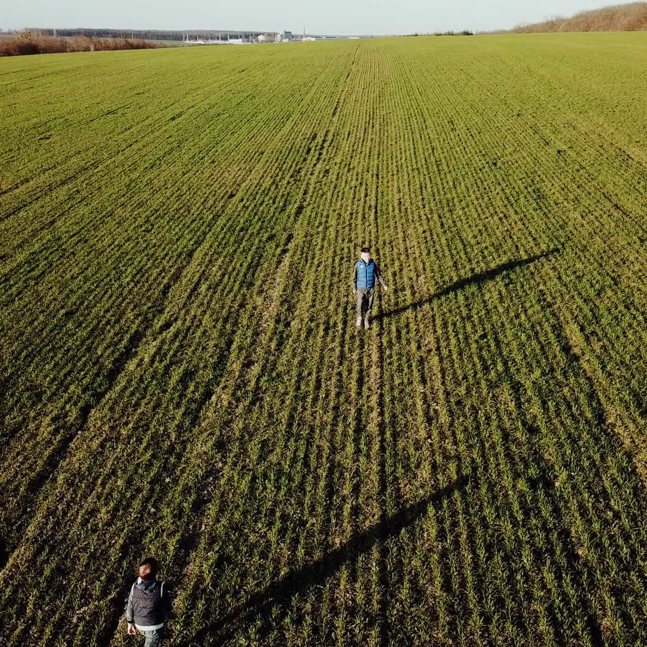 Aerial view young brothers running through a green grassy field with smiles on their faces Square video