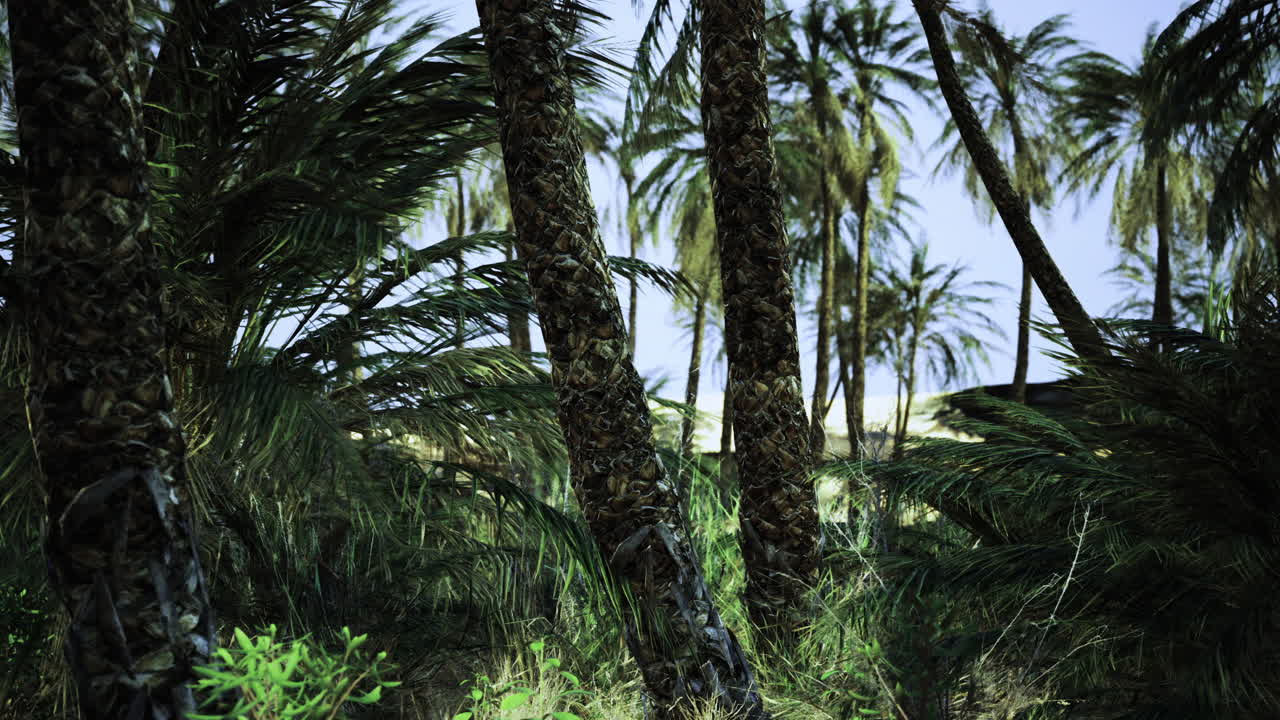Exploring lush palm trees in a vibrant tropical landscape during daytime