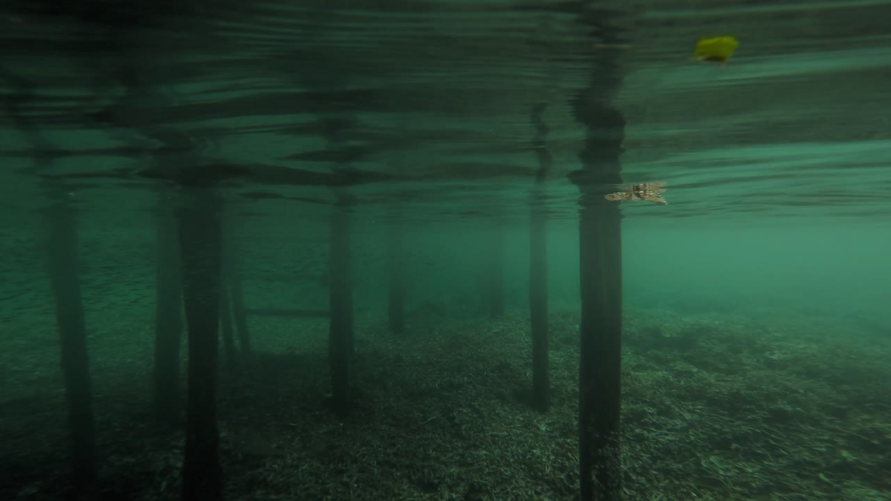 A transition shot starting under a wooden pier in Raja Ampat, Indonesia, with the camera slowly submerging to reveal the underwater world.