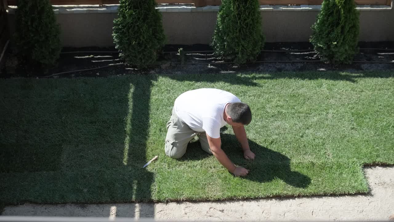 잔디 설치 및 조경 프로젝트를 위해 뒷마당 정원에 소드 풀을 는 사람, 주거 마당의 신선하고 푸른 잔디를 위해 집 개선 및 야외 유지에 초점을 맞추고 있습니다.