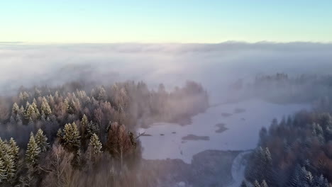 Fog-rises-over-winter-forest-landscape,-aerial-drone-view