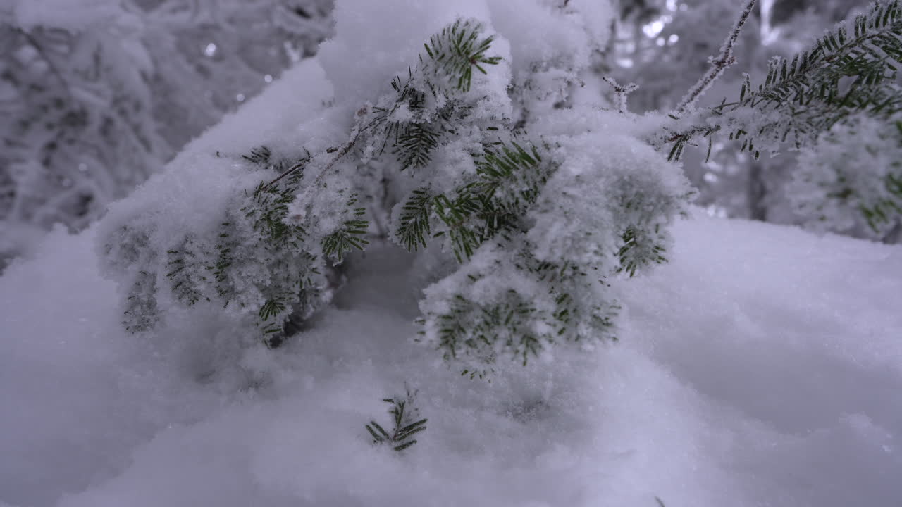 dolly pan rodada en el maravilloso invierno de la montaña del este de canadá