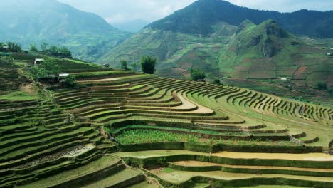 Rice-terraces-with-workers-ploughing-the-fields-revealing-surreal-landscape,-drone-fly-over-sliced-layers-of-multi-colored-paddy-fields-sculptures-to-the-hill-side-valley-of-North-Vietnam-near-China