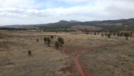 Camino-De-Tierra-Remoto-En-El-Bosque-Nacional-Pike