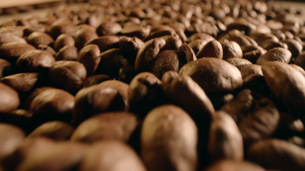 tiro macro de granos de café