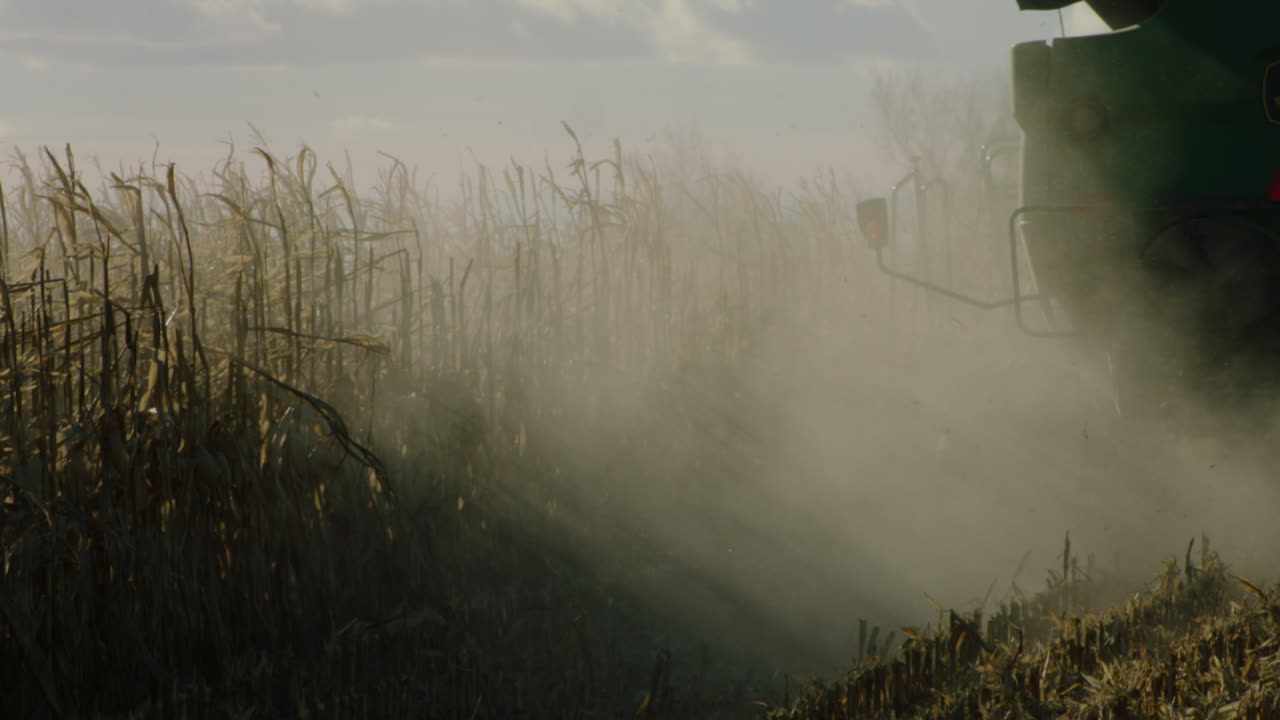cosechadora combinada, día soleado, cámara lenta