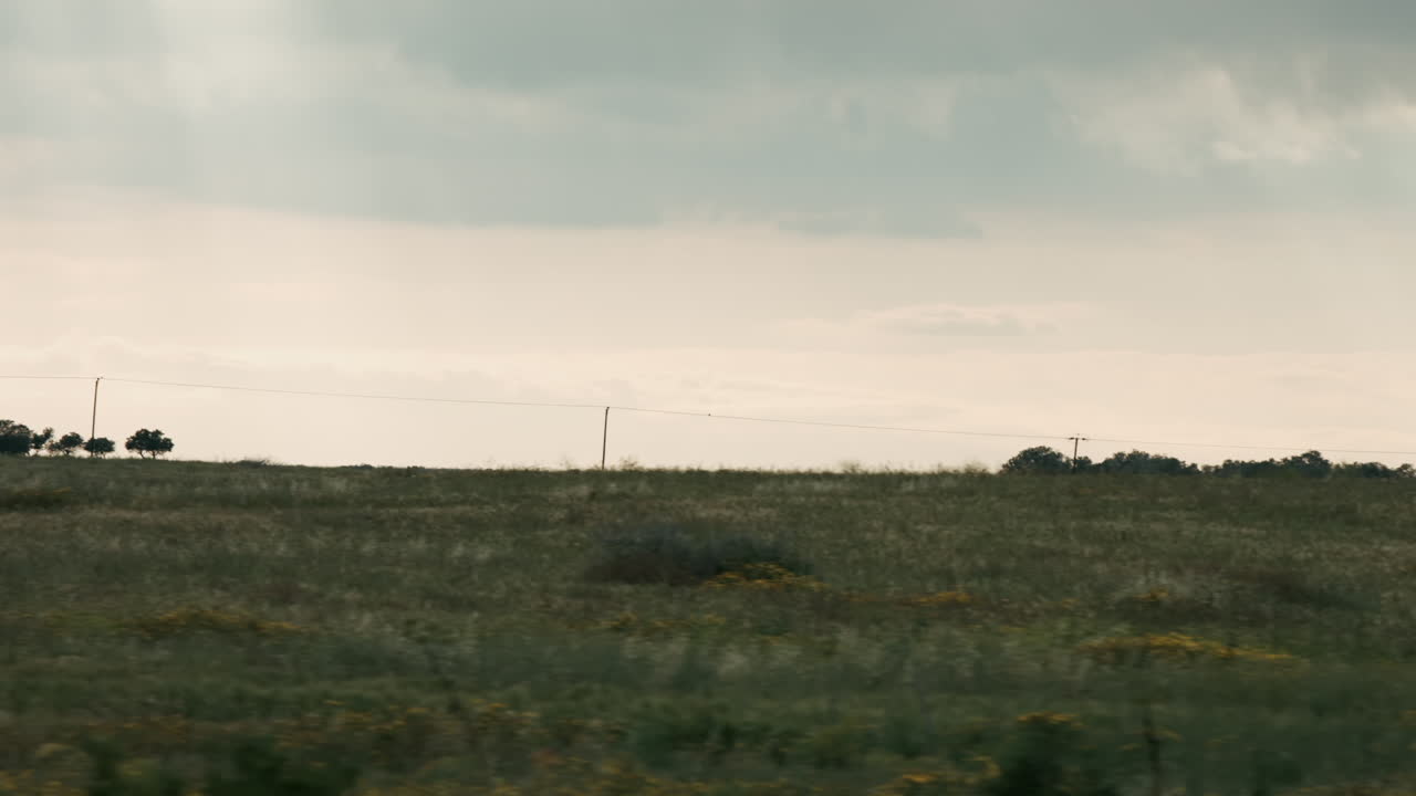 calmante vista del paisaje del viaje en tren cerca de la ventana de vidrio con colinas verdes, cielo dramático y árboles en cámara lenta