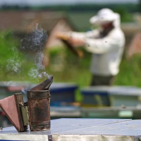 apiary in the countryside. black chimney with smoke on the background of beekeeper examining bees near beehives. beekeeping concept.