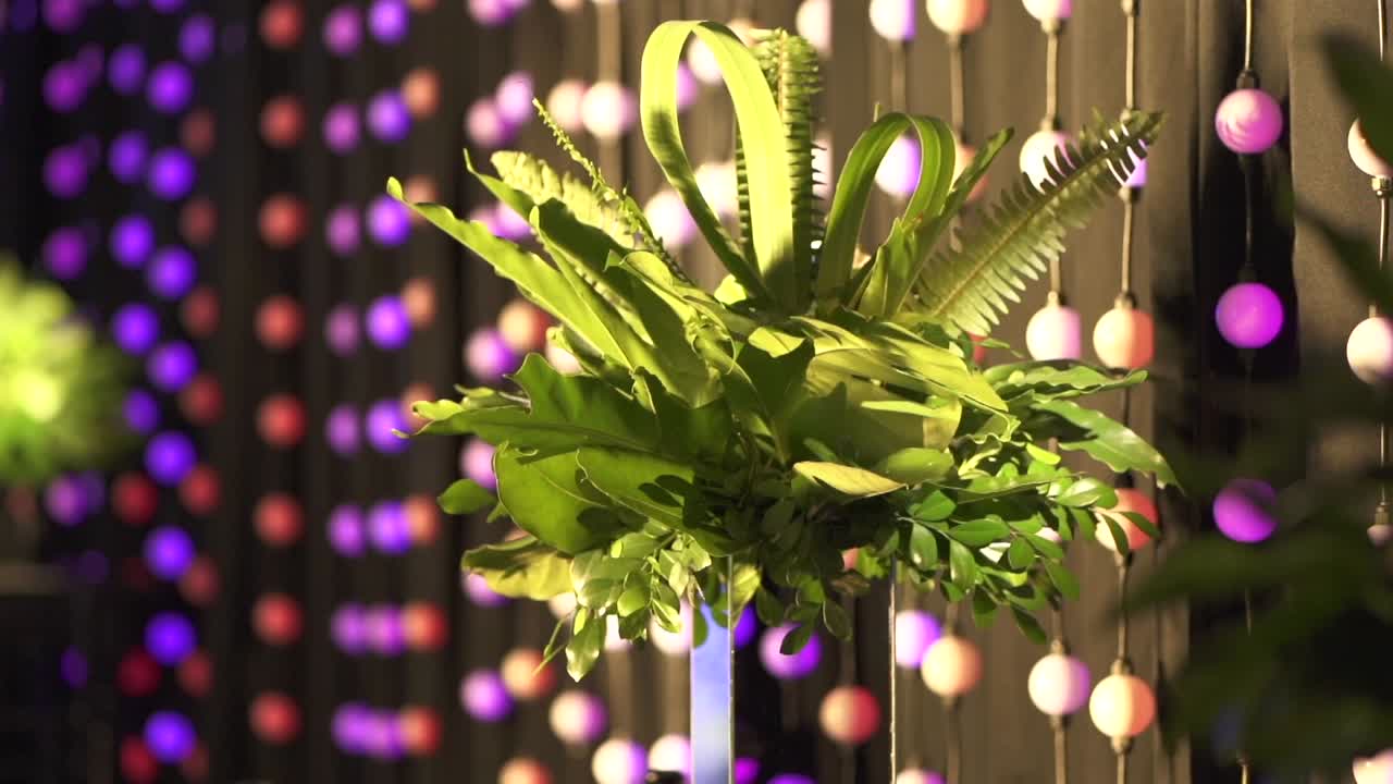 디코레이션 나이트클럽 파티 이벤트, 네온 공 조명 흐릿한 배경