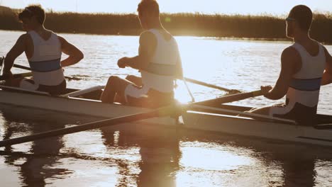 side view of male rower team rowing on the lake