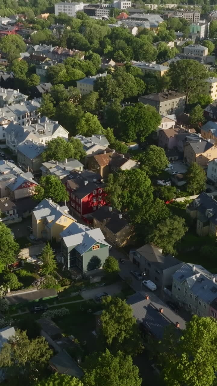 Foto aerea verticale con drone di case colorate a Kalamaja, Tallinn, in Estonia d'estate