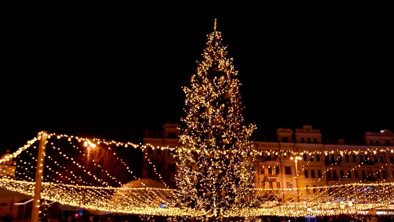 많은 불빛이 있는 큰 크리스마스 트리.