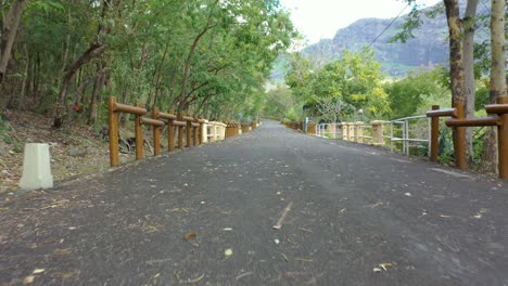 Toma-Aérea-De-ángulo-Bajo-Siguiendo-El-Sendero-Del-Bosque-En-La-Hermosa-Isla-Mauricio