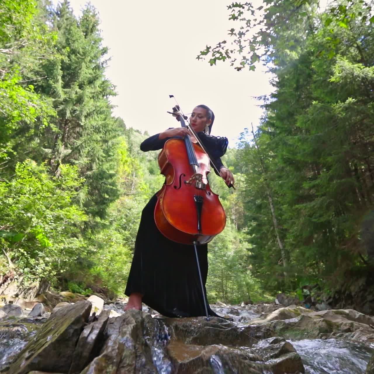 Attractive woman with cello