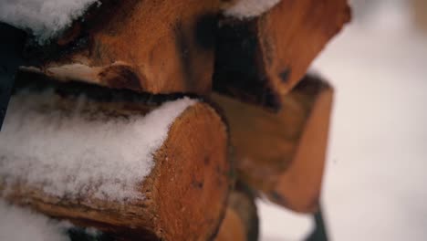 snow-covered logs during a snowfall.