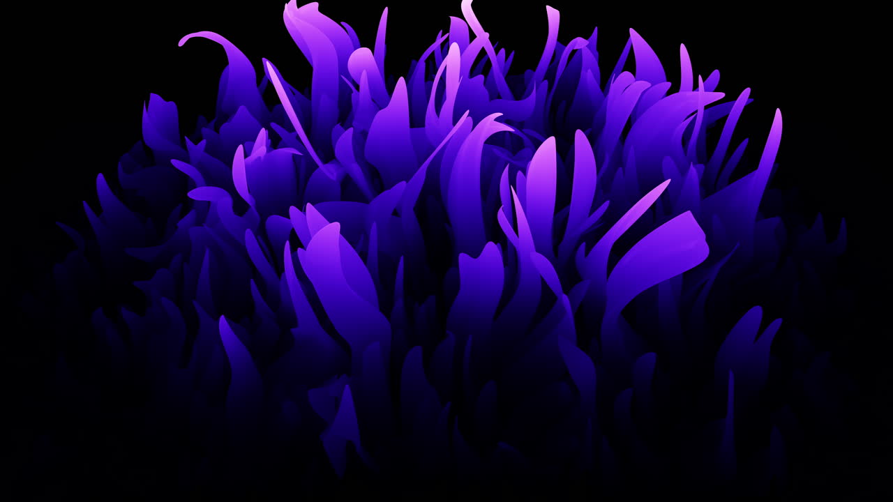 Abstract purple glowing petals waving in dark background, seamless 3D motion