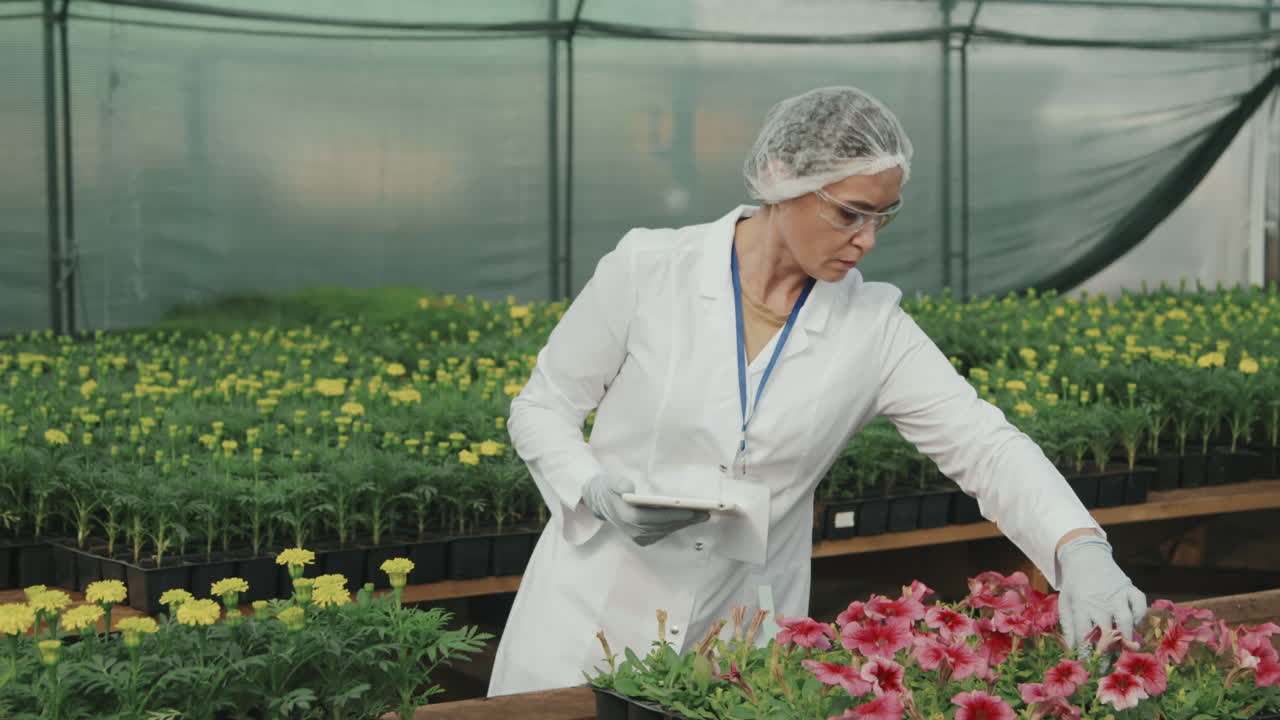Female Agricultural Engineer Inspecting Plants in Hothouse