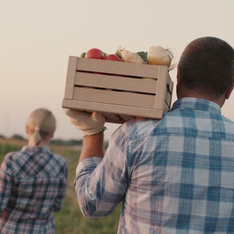 two farmers carry boxes of vegetables