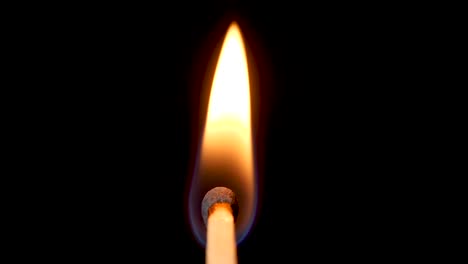 large flame consumes single matchstick. black studio background