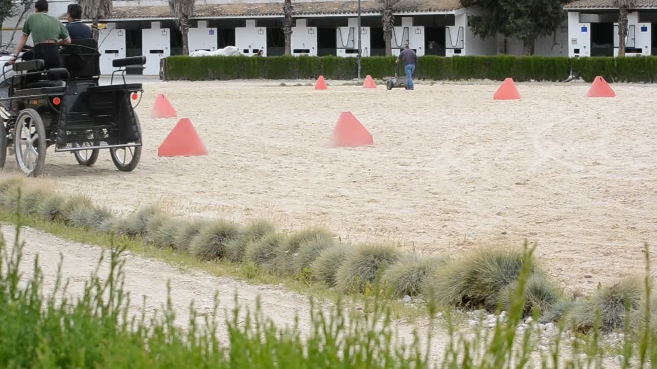JEREZ DE LA FRONTERA, SPAGNA