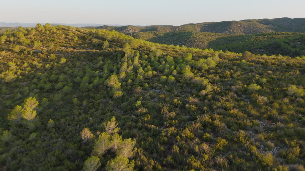 Riprese con drone: Catturare la bellezza di una maestosa valle di montagna all'ora d'oro dell'alba.