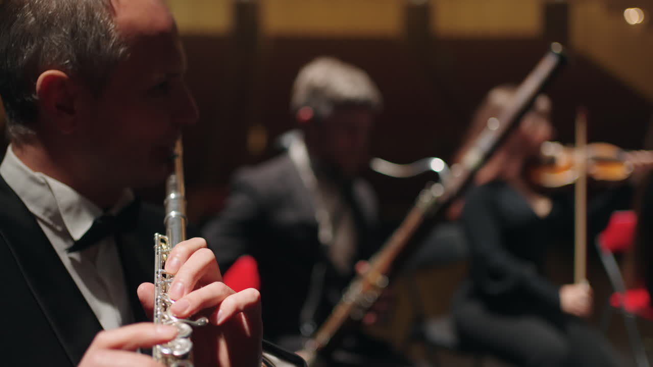 오케스트라의 불악기와 현악기 뮤지션들은 고전 또는 신고전주의 음악을 연주하고 있습니다.