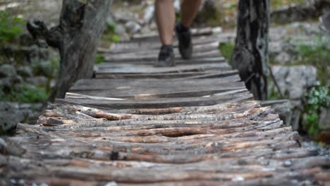 a wooden bridge is crossed while hiking