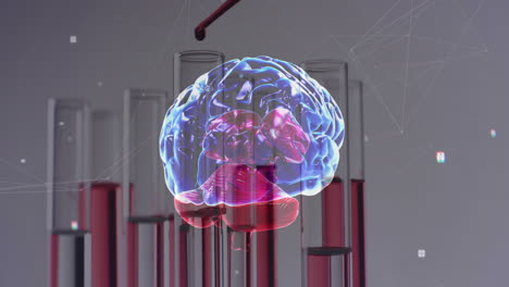 animación del cerebro humano sobre platos de laboratorio en fondo gris