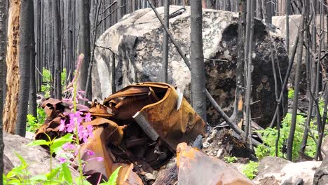 Corroded-Debris-Of-A-Cabin-In-The-Forest-Destroyed-By-Wildfire-In-Sudbury,-Canada