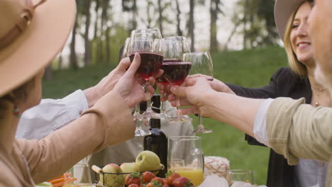 amigos multirraciales brindando con vino tinto mientras se sientan a la mesa durante una fiesta al aire libre en el parque