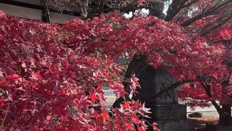 a close-up view of vivid red leaves enveloping a stone structure, showcasing the beauty of autumn foliage.