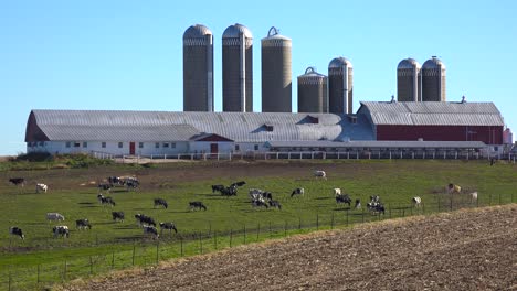 Hermosa-Toma-De-Establecimiento-De-Una-Granja-Lechera-De-Wisconsin.