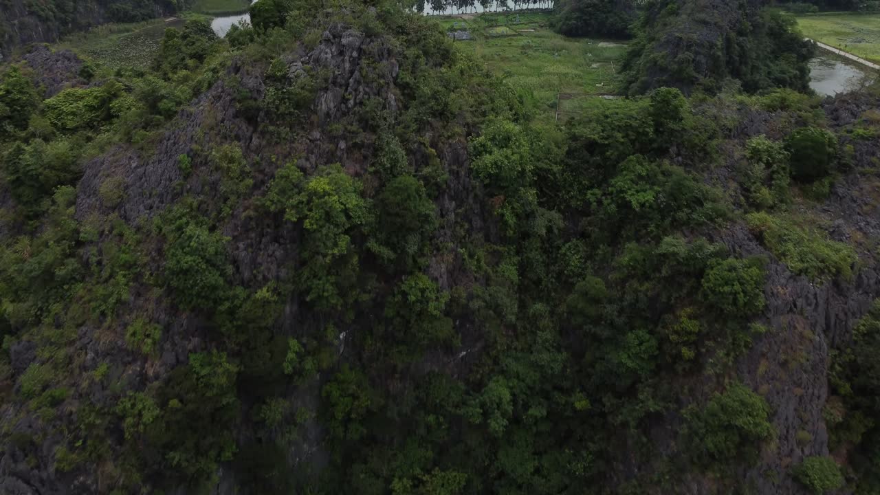 las exuberantes montañas de piedra caliza con vegetación en tam coc, vietnam, evocan la tranquilidad y la naturaleza
