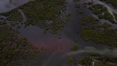 aerial view of purple colors in the water during sunset on siargao island, philippines.