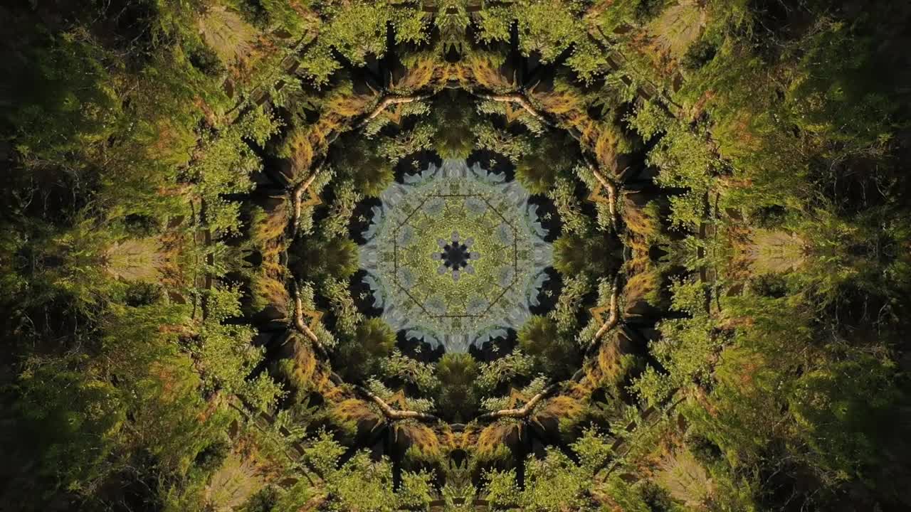 caleidoscopio geométrico patrón animado resumen naturaleza