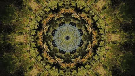 kaleidoscope geometric animated pattern abstract nature