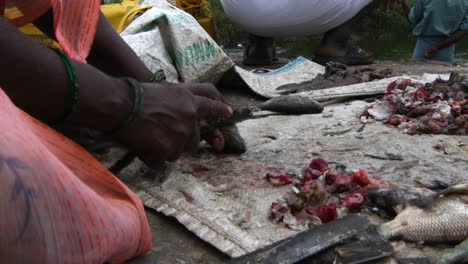 Una-Mujer-Limpiando-Peces-Vivos-En-Hogenakkal,-Tamil-Nadu,-India