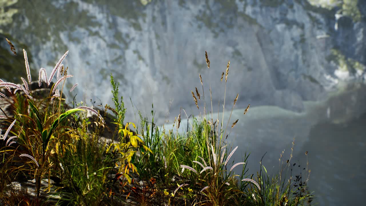 fresh grass at big rocky cliff in ocean