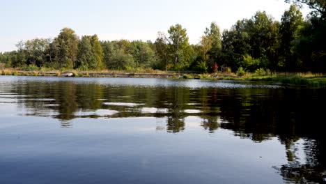 serene lake scene with forest reflection