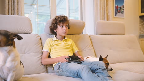 blond boy with curly hair playing with remote control, next to him are their dogs lying 1